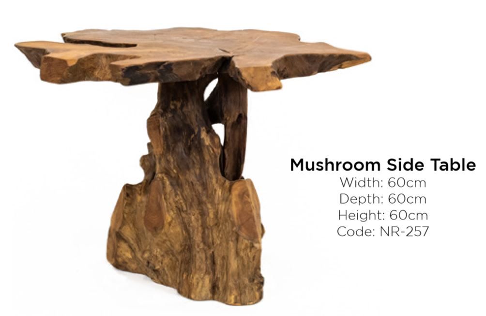 Coffee Tables